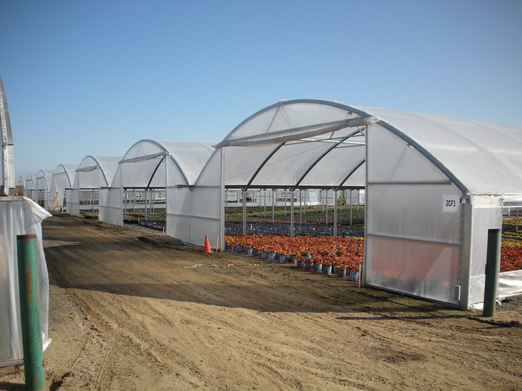 Greenhouse Plastic