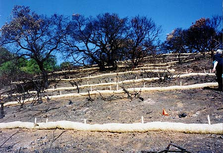 Passing the savings on to you:  Straw Wattles