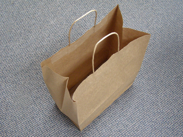 brown paper shopping bag with rope handle