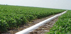 Poly-Pipe irrigation pipe