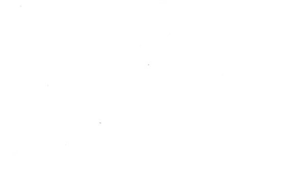 white 18 oz vinyl fabric